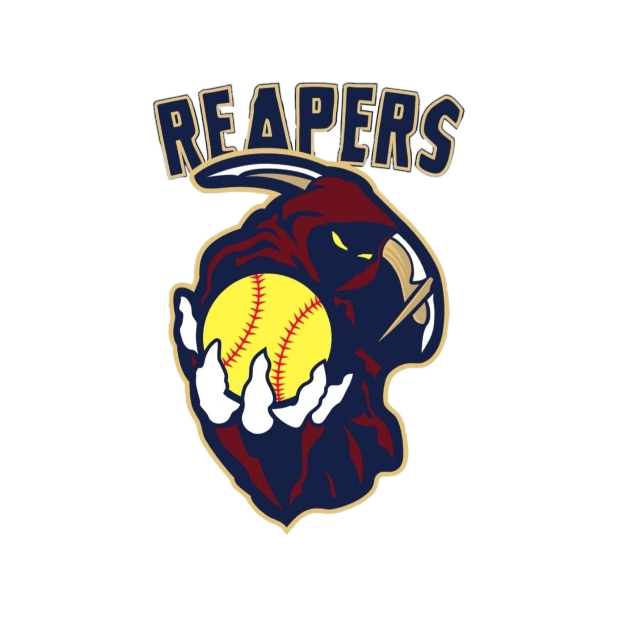 REAPERS SOFTBALL BBQ FUNDRAISING MEAT BOX The MEAT COMPANY